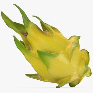 Yellow Dragon Fruit 3D