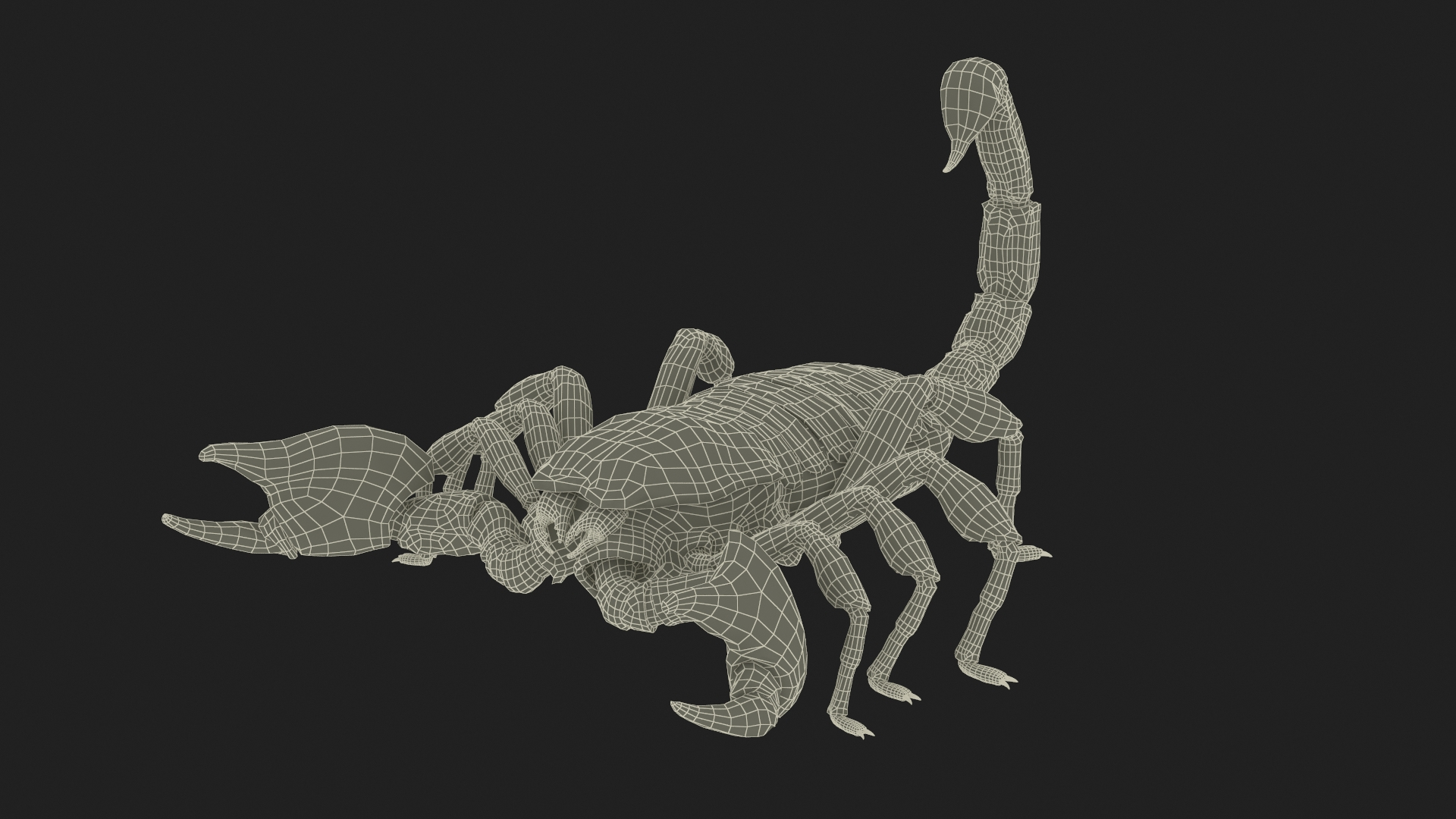 3D Realistic Scorpion Fur Rigged Model - TurboSquid 2357047