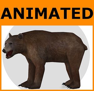 3ds max rigged bear animations