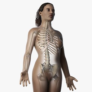 skin african female skeleton model