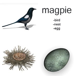 max magpie set