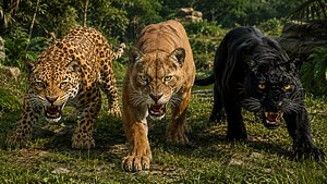 Big Cats rigged animated