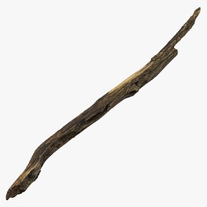 3D model Broken Branch 02