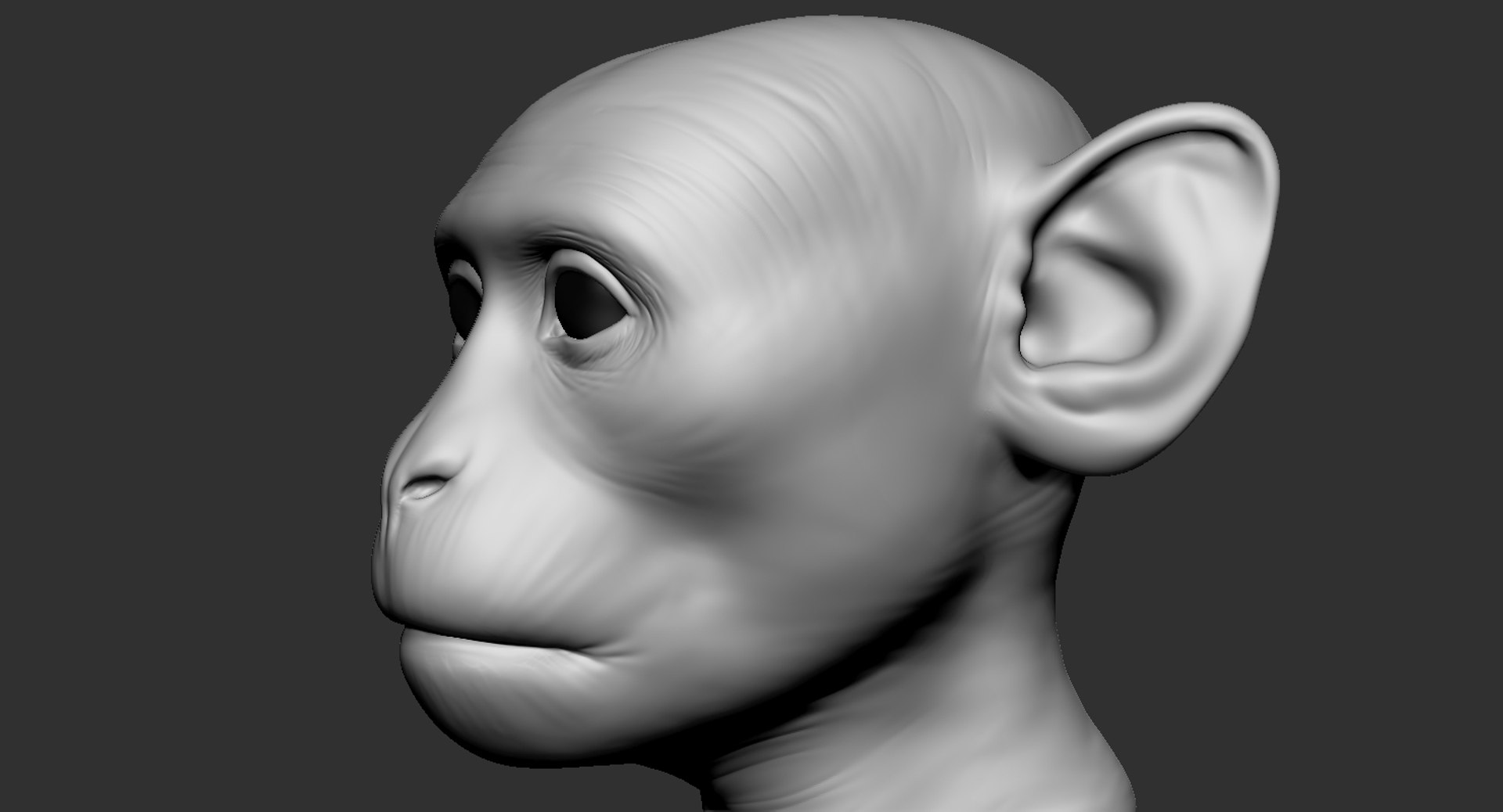 Monkey Head Animal 2019 3D - TurboSquid 1430802