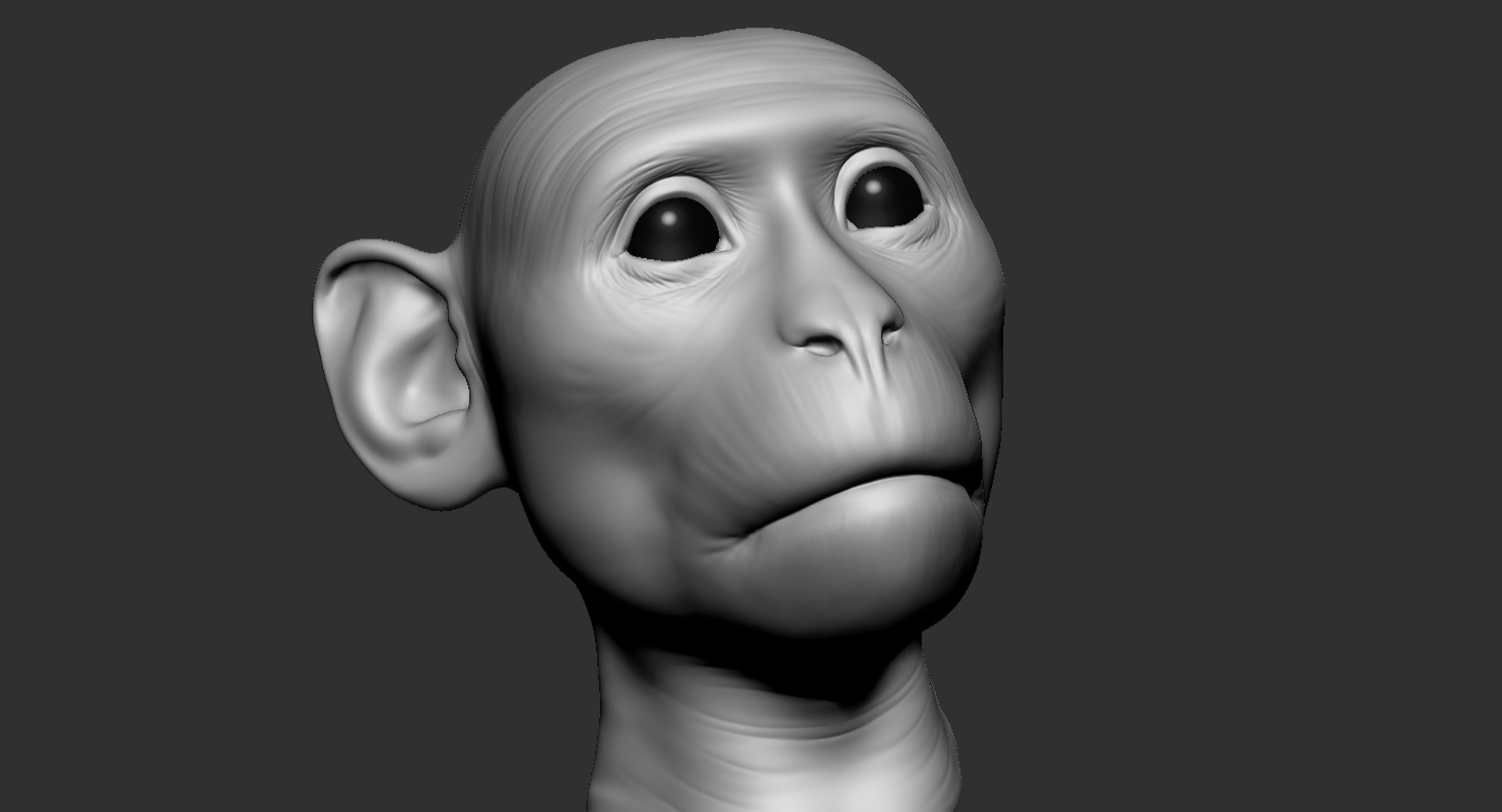 Monkey Head Animal 2019 3D - TurboSquid 1430802