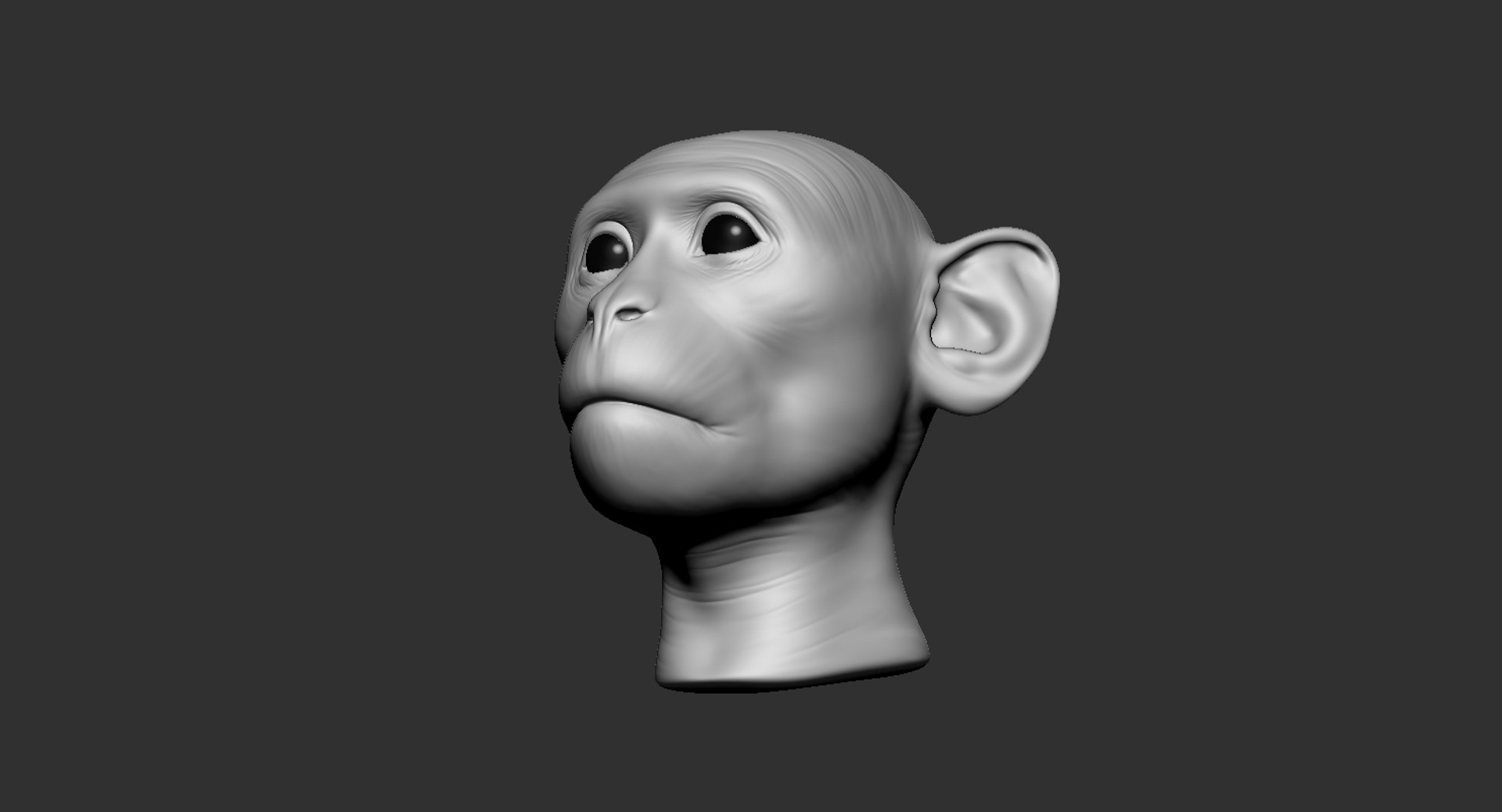 Monkey Head Animal 2019 3D - TurboSquid 1430802