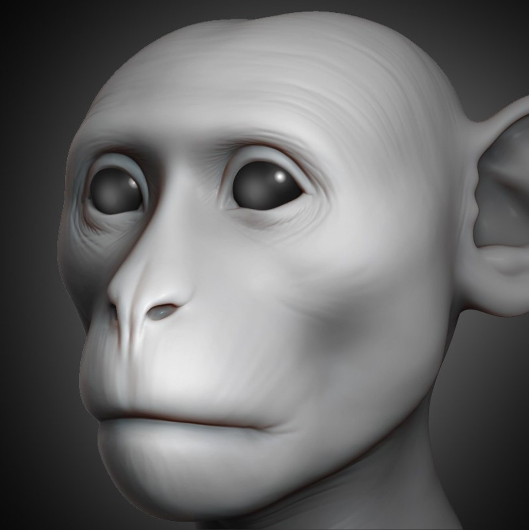 Monkey Head Animal 2019 3d Turbosquid 1430802