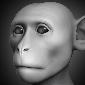 monkey head animal 2019 3D