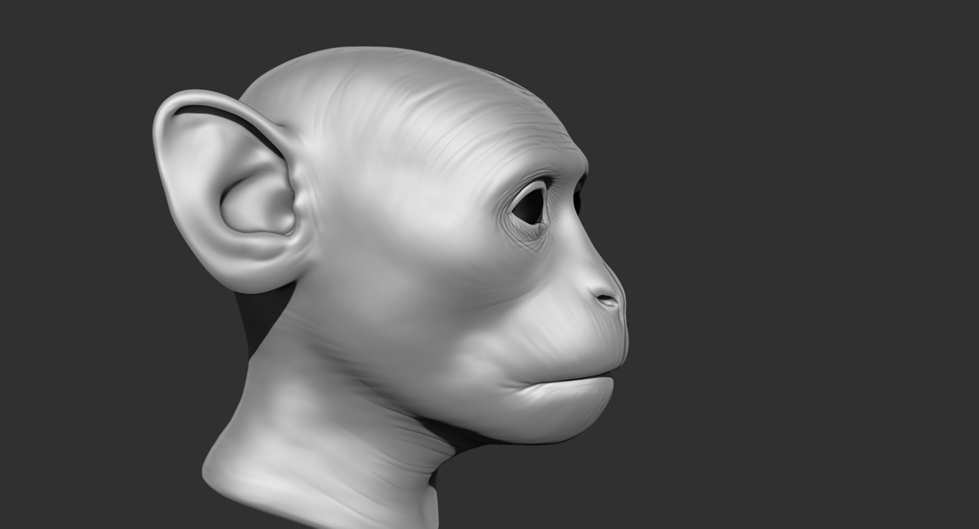 Monkey Head Animal 2019 3D - TurboSquid 1430802