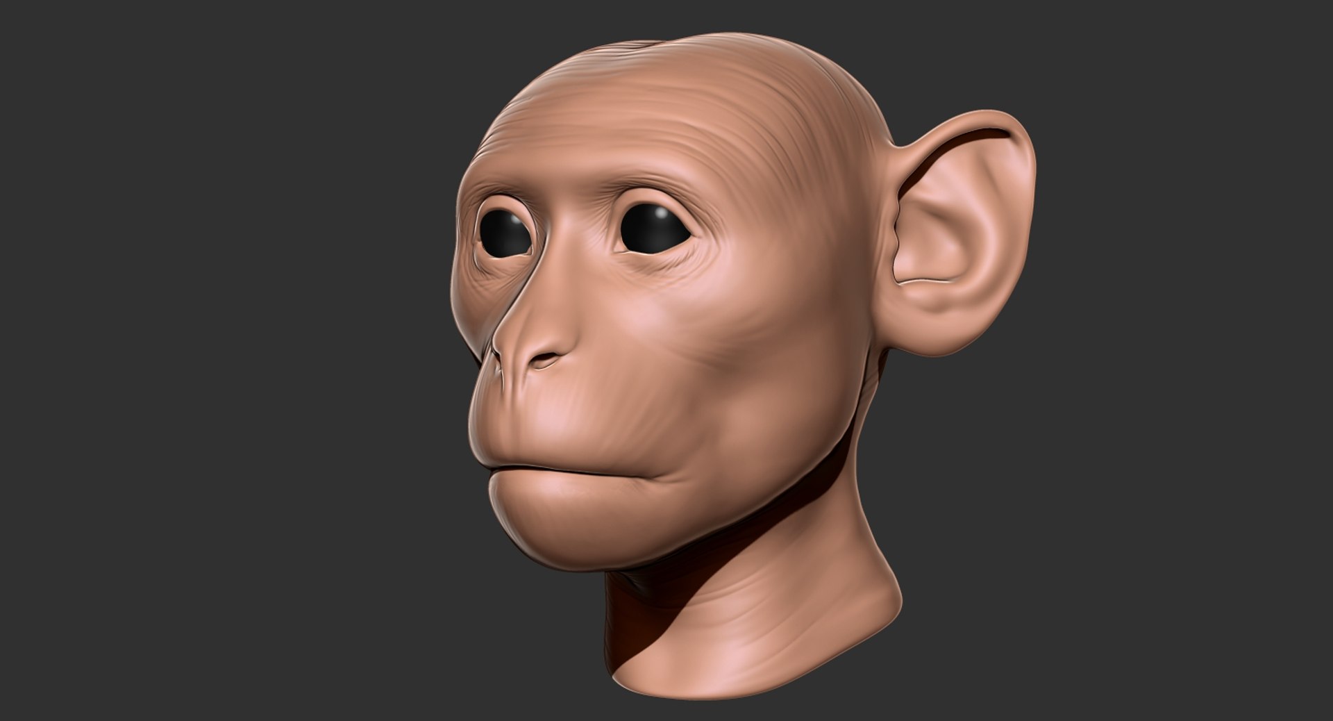 Monkey Head Animal 2019 3D - TurboSquid 1430802