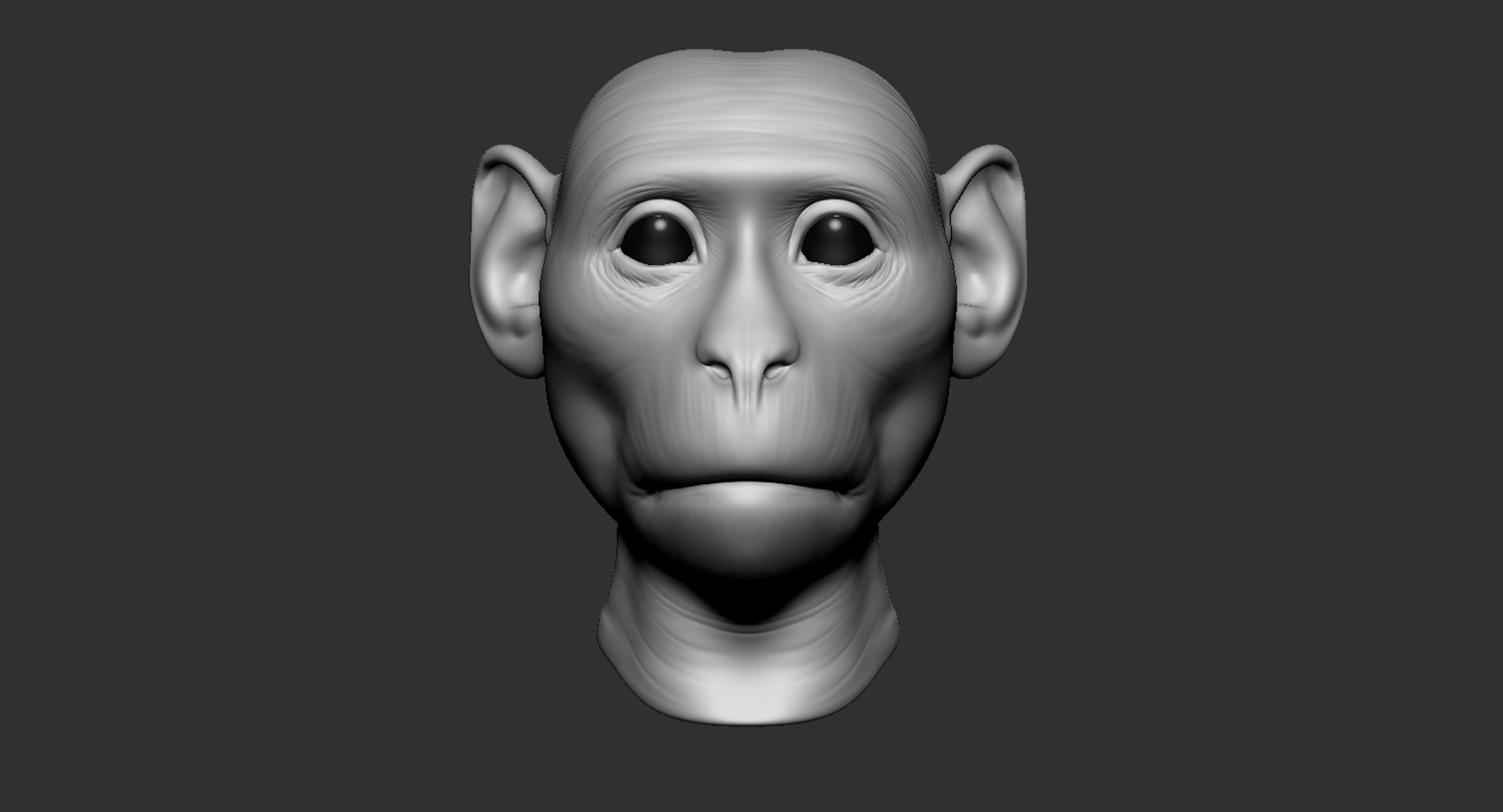 Monkey Head Animal 2019 3D - TurboSquid 1430802