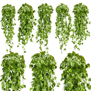 3D Collection plant vol 730 Corona 7 max 2015 model