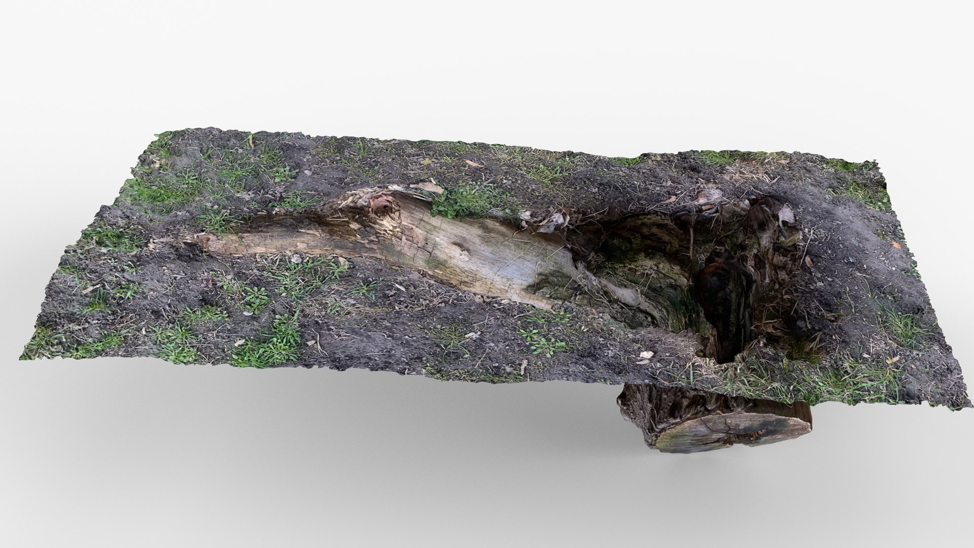 3D Photorealistic 3D scan of Tree Sawed Stump model https://p.turbosquid.com/ts-thumb/8k/BXa3fu/KU/view_080001/jpg/1744556685/1920x1080/fit_q87/ffa4c1c1b9451db61da7a108f3bc26aea03cf2c8/view_080001.jpg