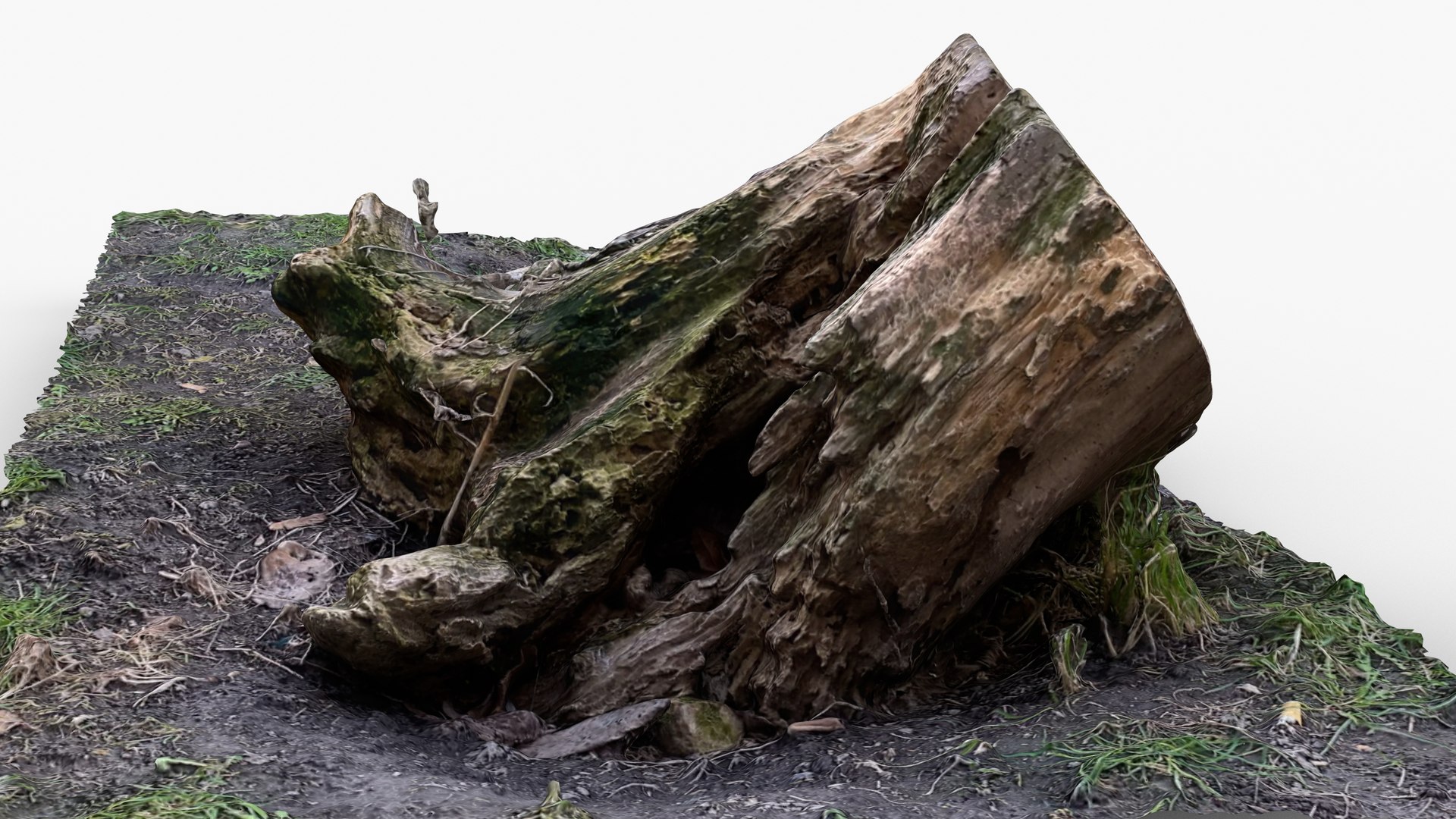 3D Photorealistic 3D scan of Tree Sawed Stump model https://p.turbosquid.com/ts-thumb/8k/BXa3fu/tl/view_070001/jpg/1744556972/1920x1080/fit_q87/b2b3b2719233a7078ffcadf8f8c7111e2734f72c/view_070001.jpg