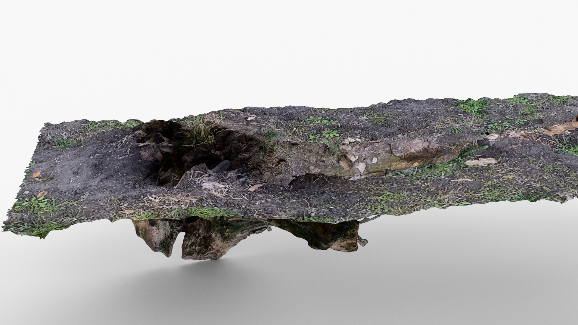 3D Photorealistic 3D scan of Tree Sawed Stump model https://p.turbosquid.com/ts-thumb/8k/BXa3fu/tm/view_090001/jpg/1744556999/1920x1080/fit_q87/e876d05db9163642c5ffe70bc454eb9626d273d2/view_090001.jpg