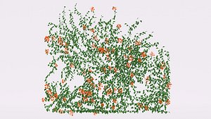 3D model CLIMBING IVY