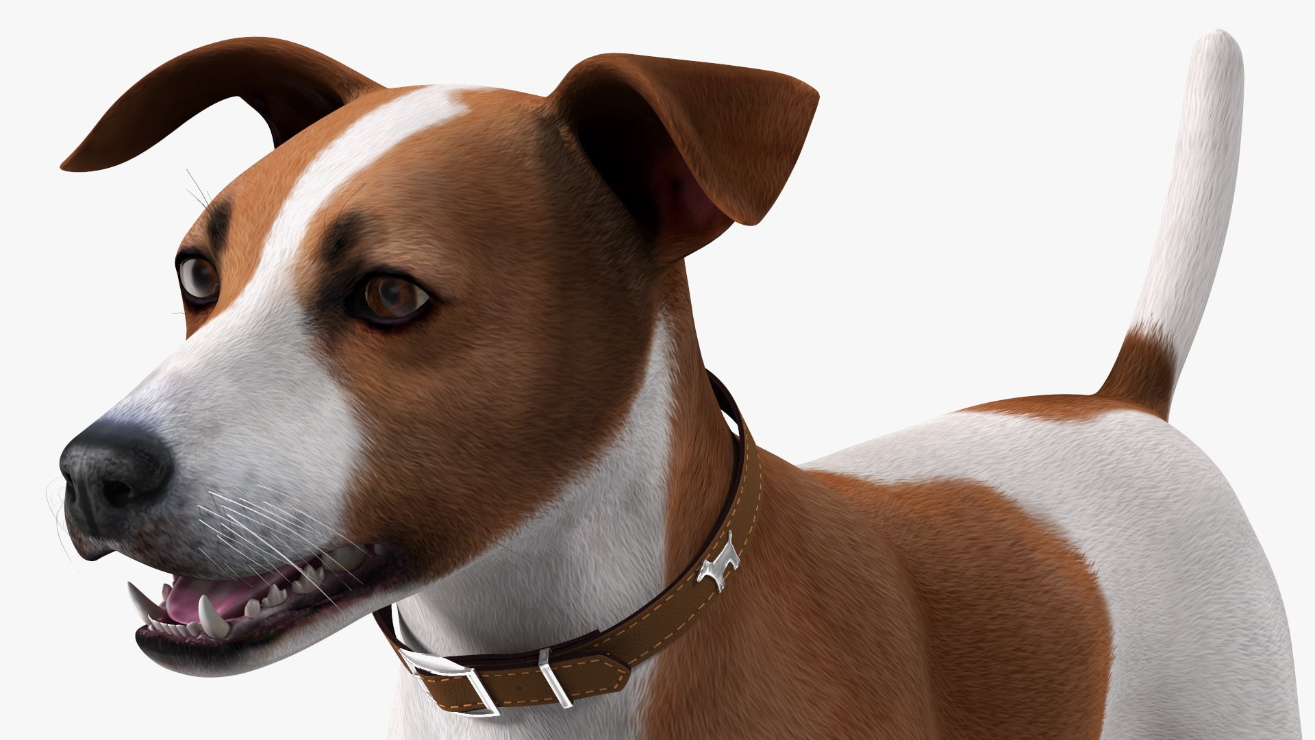 Crate with Jack Russell Terrier model https://p.turbosquid.com/ts-thumb/8k/U30Qsf/JE/cage_with_jack_russell_terrier_017/jpg/1774090634/1920x1080/fit_q87/95f4b2f1ffc5a1fda17c02b14879d4a610a46db1/cage_with_jack_russell_terrier_017.jpg