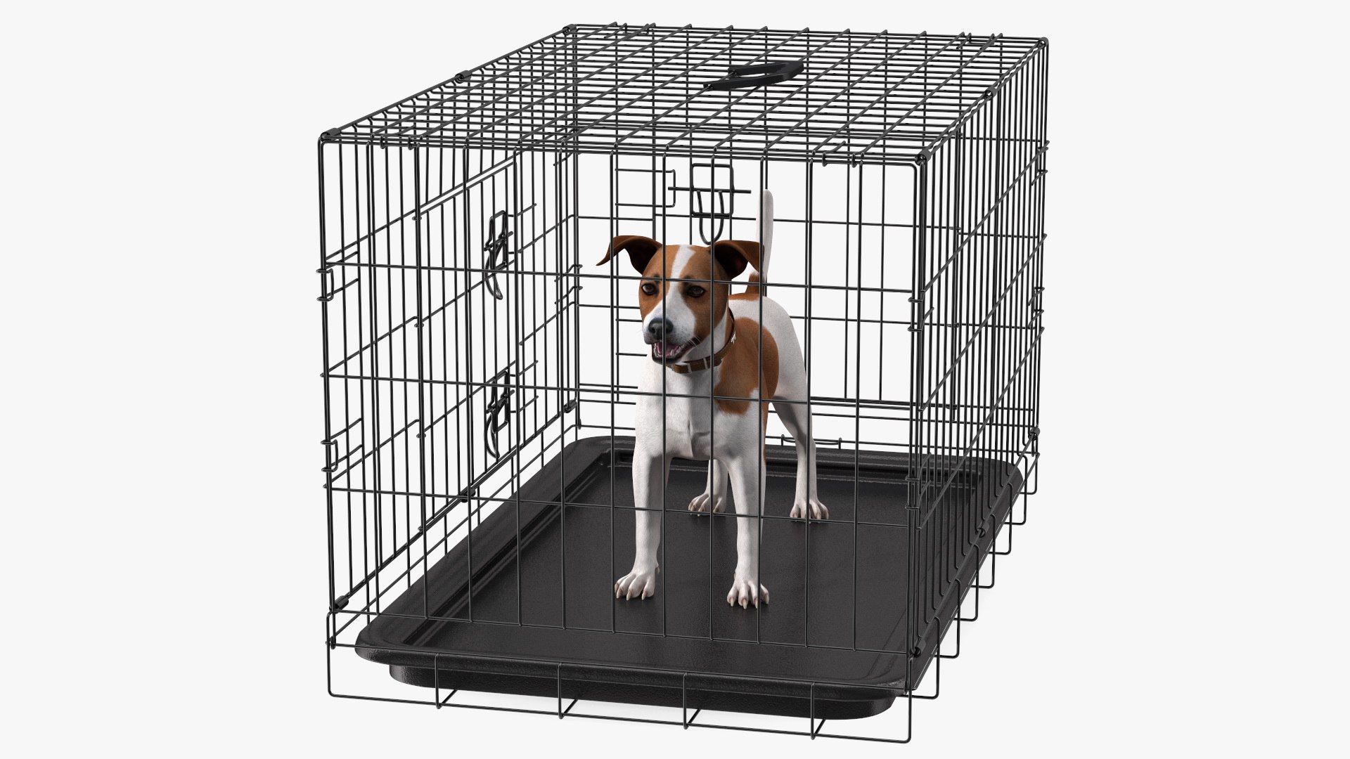Crate with Jack Russell Terrier model https://p.turbosquid.com/ts-thumb/8k/U30Qsf/f3/cage_with_jack_russell_terrier_008/jpg/1774090614/1920x1080/fit_q87/8999c38fb560ad833e503ce32d057d0a0e494331/cage_with_jack_russell_terrier_008.jpg