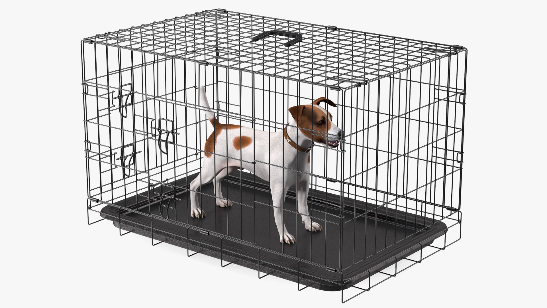 Crate with Jack Russell Terrier 3D model for industrial visualization, technical presentation, simulation, product rendering, and animation