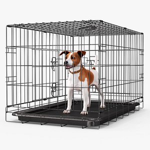 Crate with Jack Russell Terrier