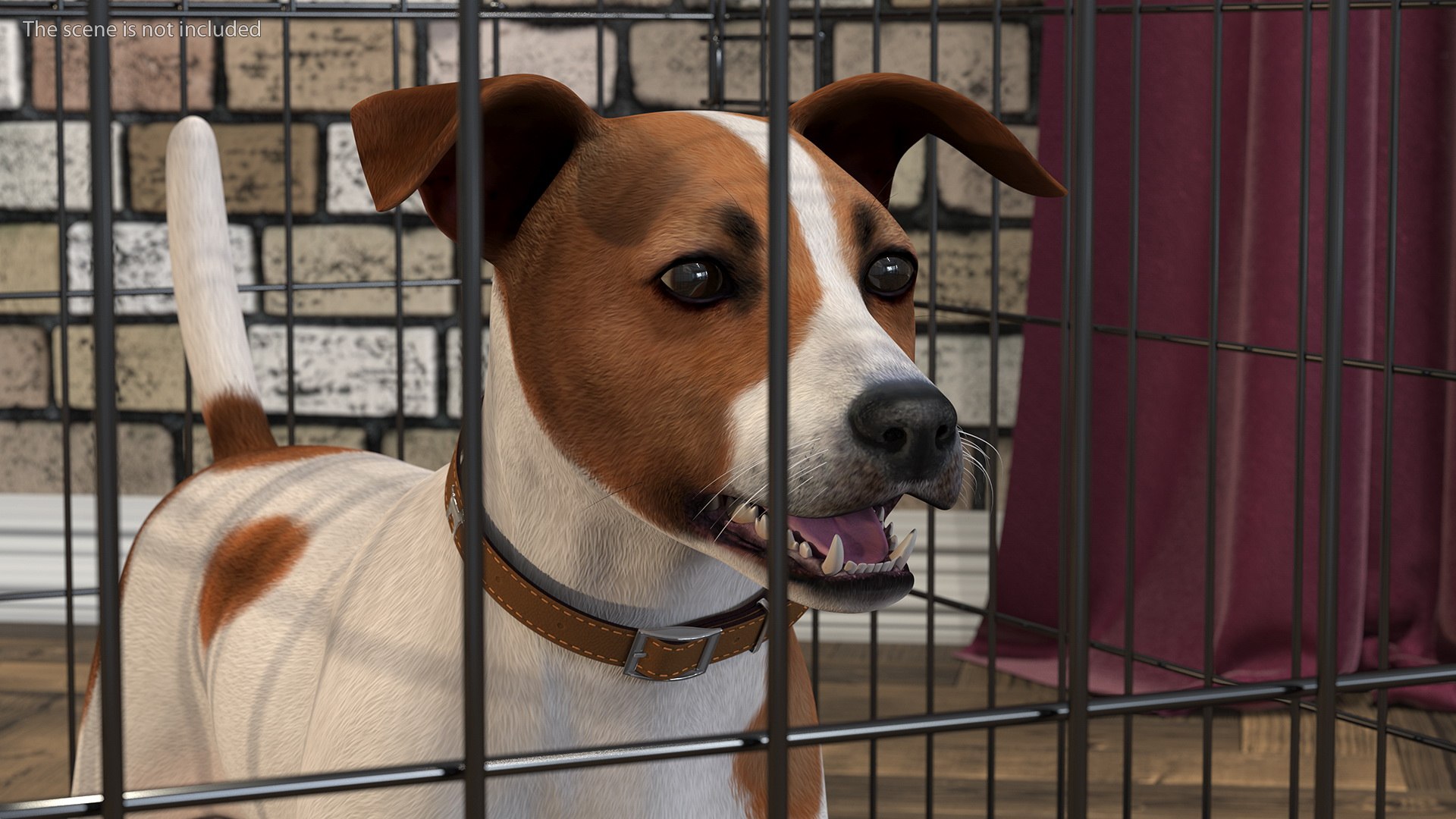 Crate with Jack Russell Terrier model https://p.turbosquid.com/ts-thumb/8k/U30Qsf/rB/cage_with_jack_russell_terrier_006/jpg/1774090610/1920x1080/fit_q87/7fbfbacb99b052301fb79fd50df06ecc6f73af86/cage_with_jack_russell_terrier_006.jpg