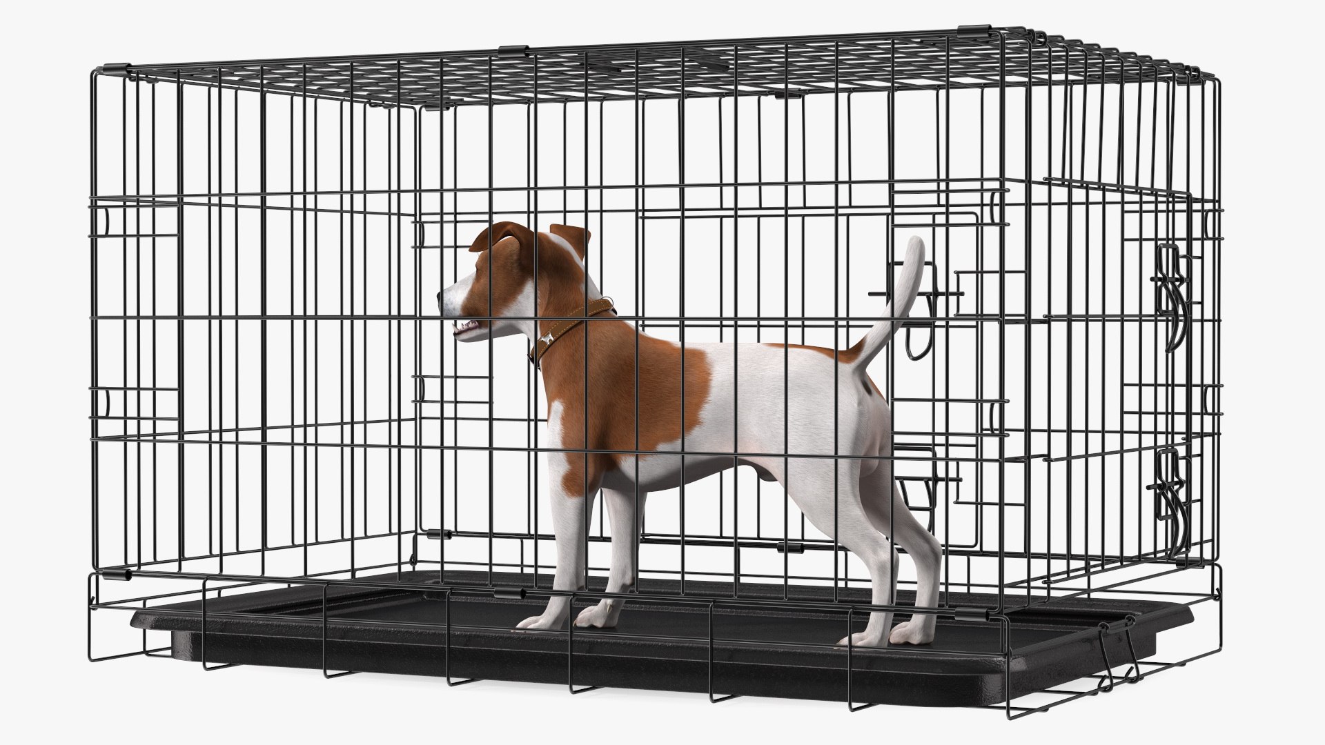 Crate with Jack Russell Terrier model https://p.turbosquid.com/ts-thumb/8k/U30Qsf/vl/cage_with_jack_russell_terrier_009/jpg/1774090616/1920x1080/fit_q87/c2f037b87823e6d12550838bb1d12d71c0f9ddf1/cage_with_jack_russell_terrier_009.jpg