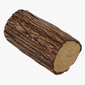 3D model wooden log 04