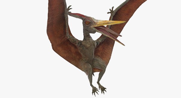 Pteranodon landing pose 3D model - TurboSquid 1384856