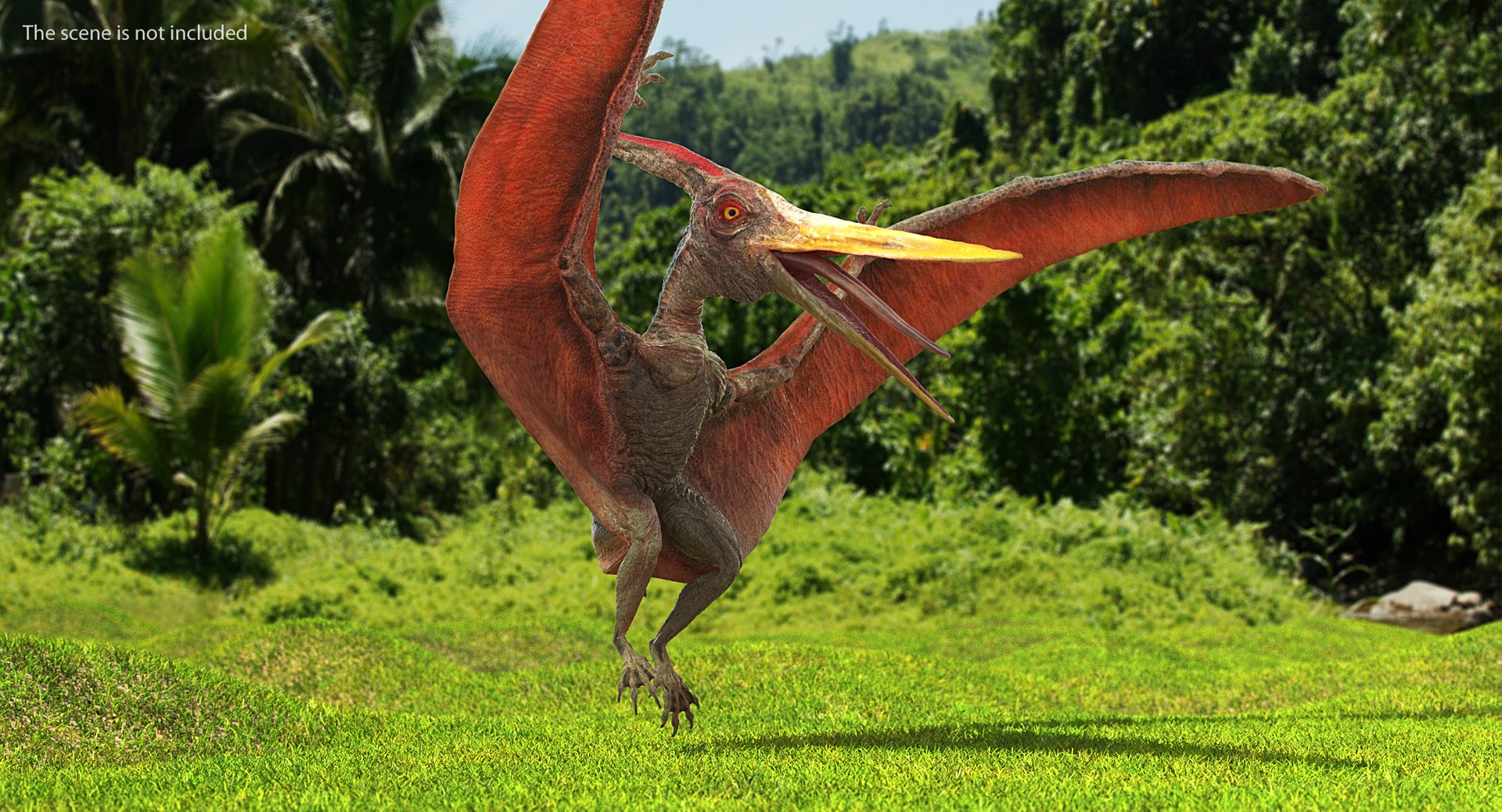 Pteranodon Landing Pose 3D Model - TurboSquid 1384856