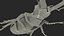 Lucanus Cervus Stag Beetle Walking Pose Fur