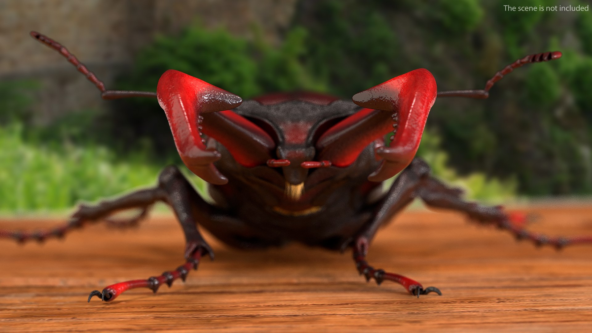 3D lucanus cervus stag beetle model https://p.turbosquid.com/ts-thumb/8k/pcmrZr/5c5o52Jm/lucanuscervusstagbeetlewalkingposefur3dmodel006/jpg/1582016685/1920x1080/fit_q87/7e655d1d62773d1ed59d7f9cc79be3c884c9274a/lucanuscervusstagbeetlewalkingposefur3dmodel006.jpg