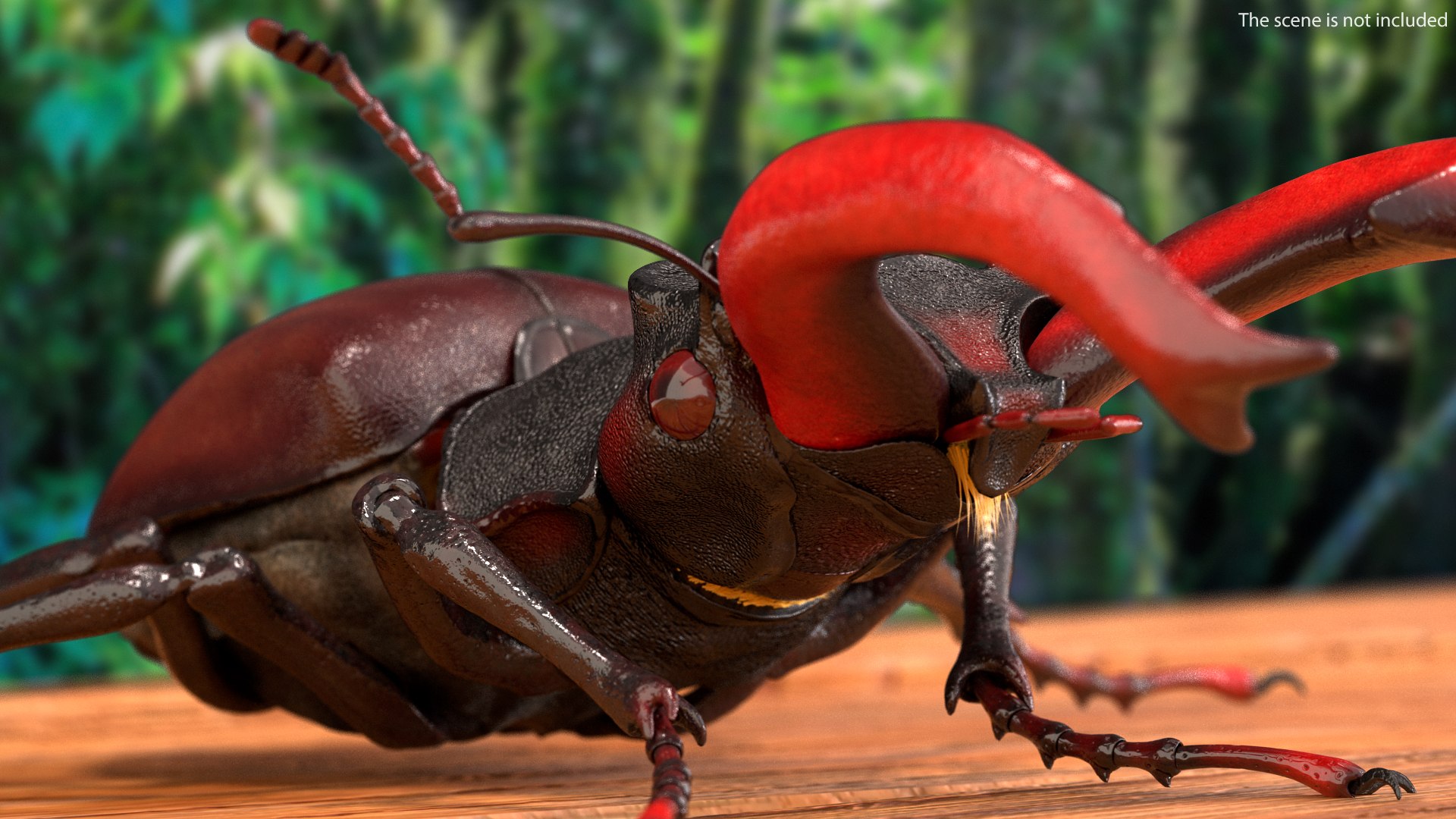3D lucanus cervus stag beetle model https://p.turbosquid.com/ts-thumb/8k/pcmrZr/FC57Sgmo/lucanuscervusstagbeetlewalkingposefur3dmodel004/jpg/1582016667/1920x1080/fit_q87/d6c6a5a52a93ce1673dbb203cd8412c54241650e/lucanuscervusstagbeetlewalkingposefur3dmodel004.jpg