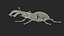 Lucanus Cervus Stag Beetle Walking Pose Fur