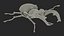 Lucanus Cervus Stag Beetle Walking Pose Fur