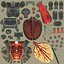 Lucanus Cervus Stag Beetle Walking Pose Fur