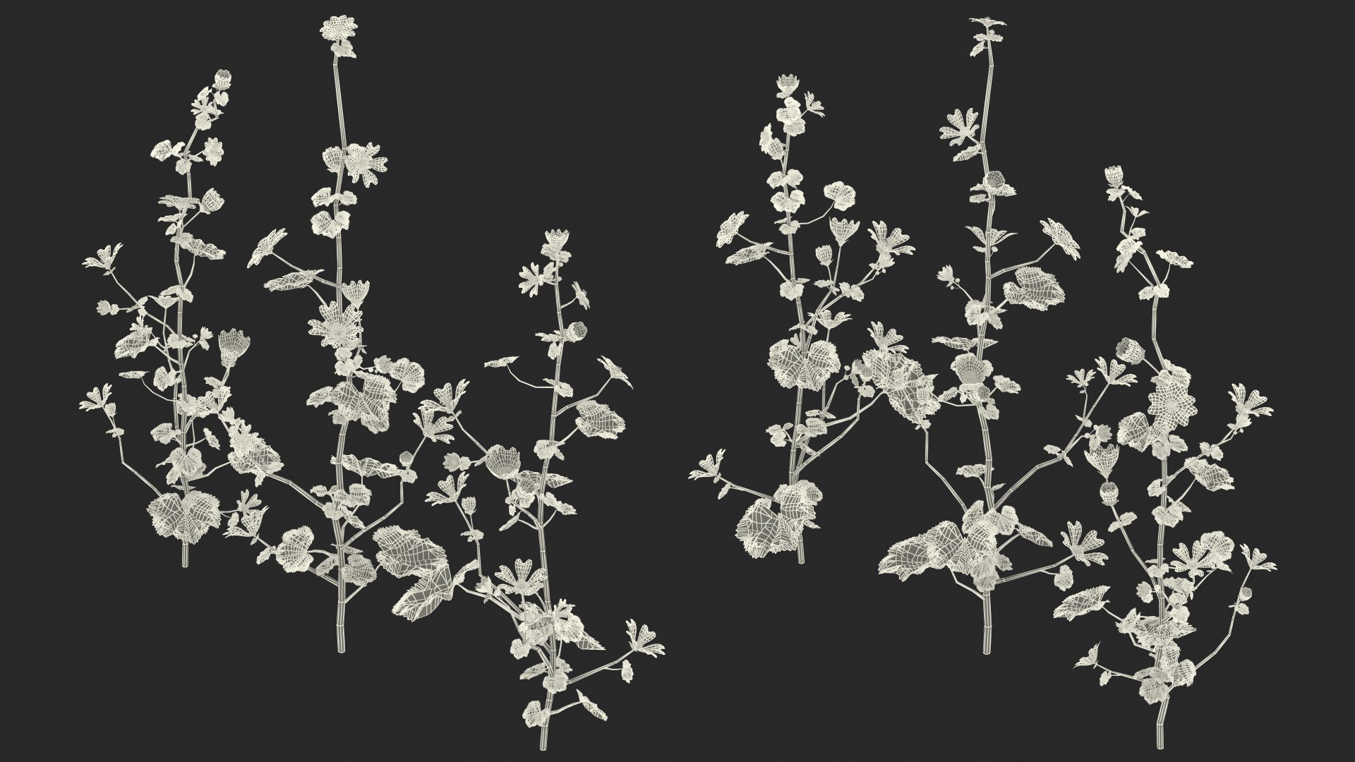 wild malva sylvestris set 3D model https://p.turbosquid.com/ts-thumb/8k/pgpR9b/8dTwmXNl/wildmalvasylvestrisset3dmodel025/jpg/1599807229/1920x1080/fit_q87/221452991eb7ac455e5331c2ceb71955da254d62/wildmalvasylvestrisset3dmodel025.jpg