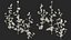 Set Malva Sylvestris Selvatica