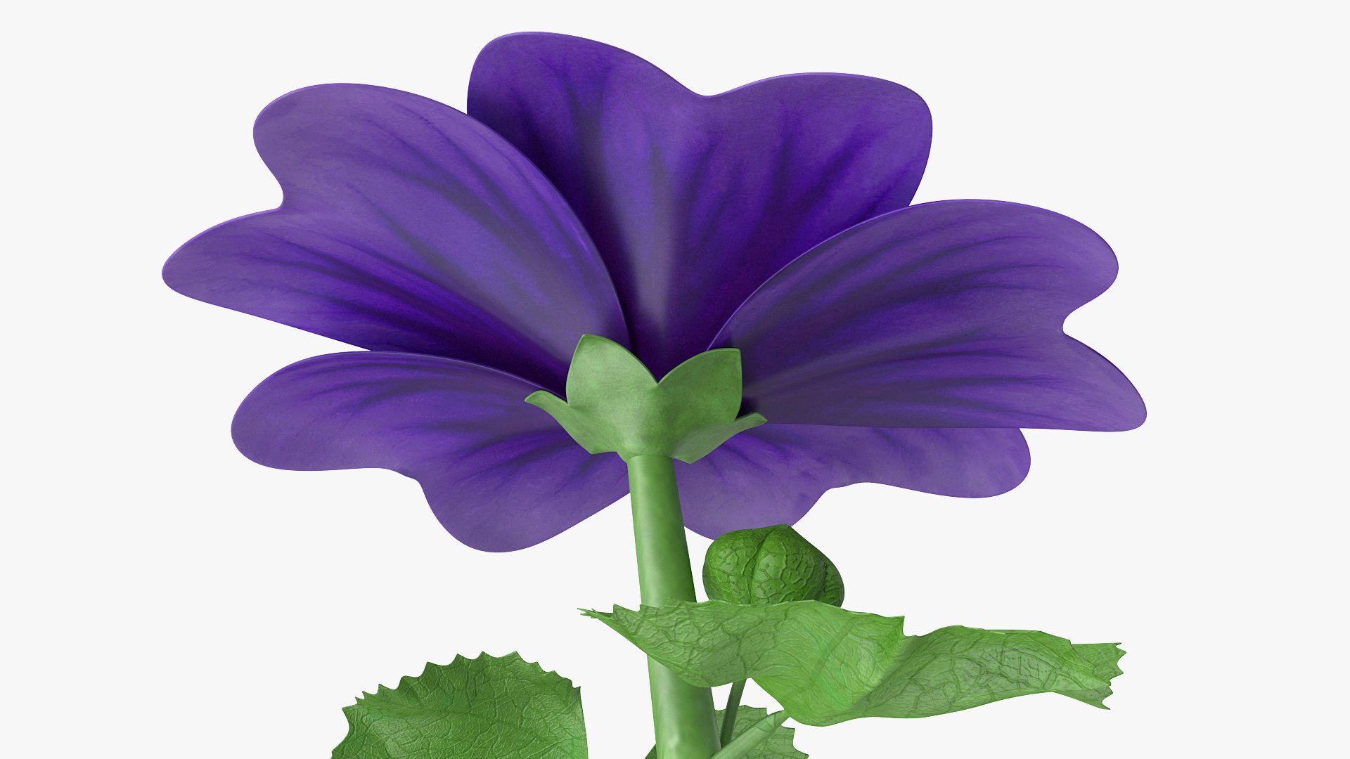 wild malva sylvestris set 3D model https://p.turbosquid.com/ts-thumb/8k/pgpR9b/CygM5sUa/wildmalvasylvestrisset3dmodel017/jpg/1599807145/1920x1080/fit_q87/176ce6dabd8b3fa994ea338d29c737919fee94ab/wildmalvasylvestrisset3dmodel017.jpg