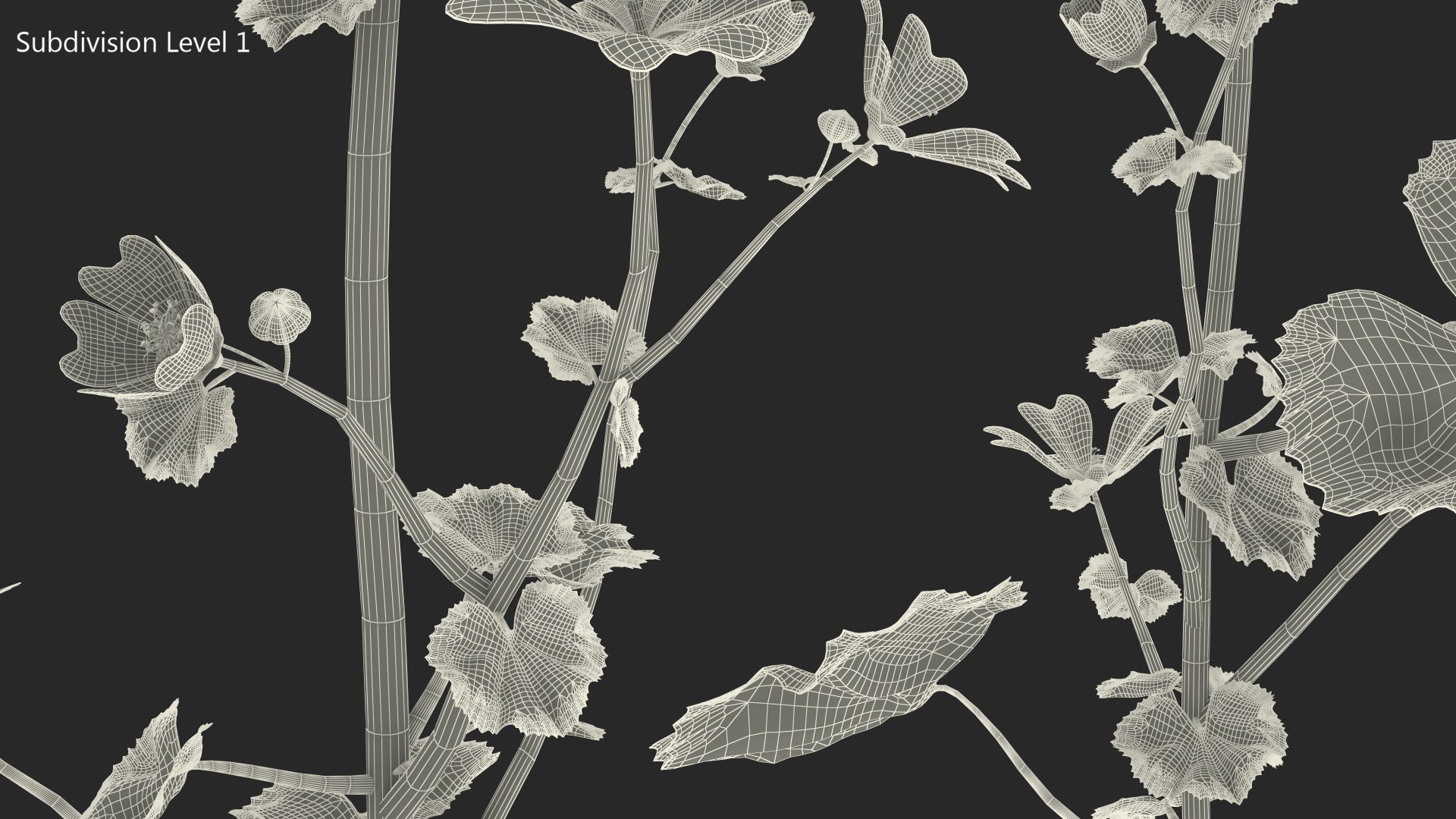 wild malva sylvestris set 3D model https://p.turbosquid.com/ts-thumb/8k/pgpR9b/FZt03jgu/wildmalvasylvestrisset3dmodel020/jpg/1599807176/1920x1080/fit_q87/c45c5e34c443f2f770e265195041ad083e51b68a/wildmalvasylvestrisset3dmodel020.jpg