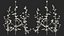 Set Malva Sylvestris Selvatica