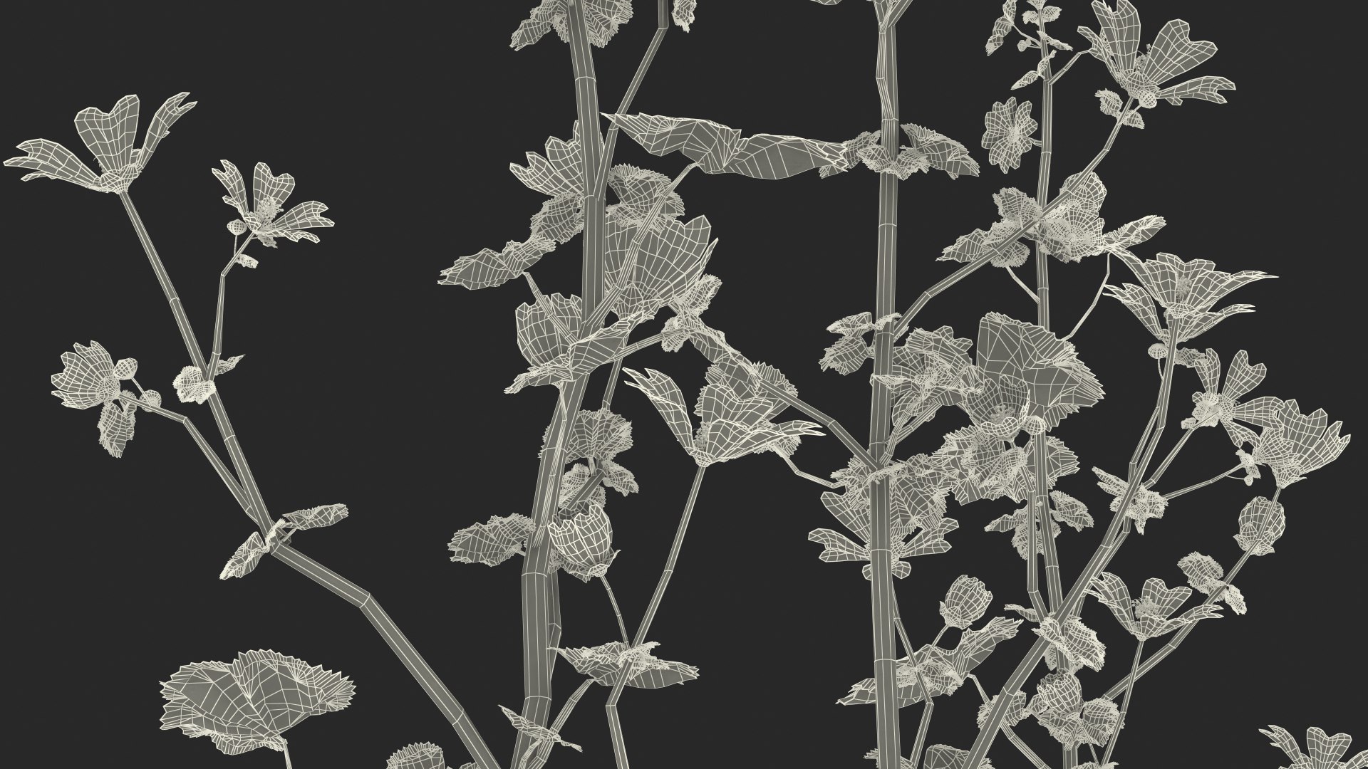 wild malva sylvestris set 3D model https://p.turbosquid.com/ts-thumb/8k/pgpR9b/ZQmseRuf/wildmalvasylvestrisset3dmodel030/jpg/1599807295/1920x1080/fit_q87/66c7e8dd50fd07e58dc019181848c625be52c834/wildmalvasylvestrisset3dmodel030.jpg
