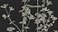 Set Malva Sylvestris Selvatica