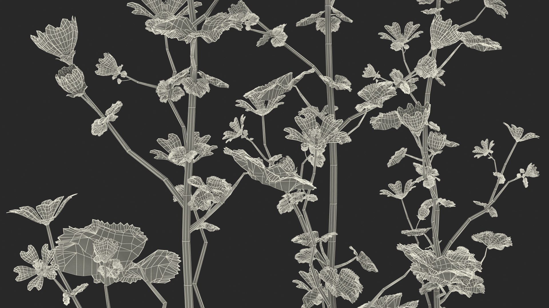 wild malva sylvestris set 3D model https://p.turbosquid.com/ts-thumb/8k/pgpR9b/bKCaQmd7/wildmalvasylvestrisset3dmodel028/jpg/1599807267/1920x1080/fit_q87/153d4b547411eea8672d96aaeb41d4a6db2469f2/wildmalvasylvestrisset3dmodel028.jpg