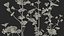 Set Malva Sylvestris Selvatica
