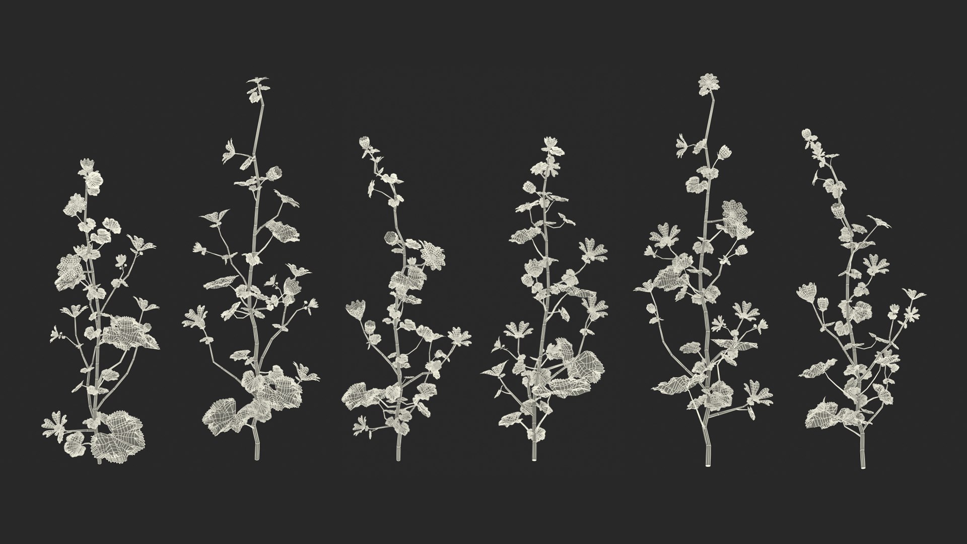 wild malva sylvestris set 3D model https://p.turbosquid.com/ts-thumb/8k/pgpR9b/e7600Het/wildmalvasylvestrisset3dmodel026/jpg/1599807246/1920x1080/fit_q87/7c7fff0c41017afa48e273c5e7ac77e8c9f5d621/wildmalvasylvestrisset3dmodel026.jpg