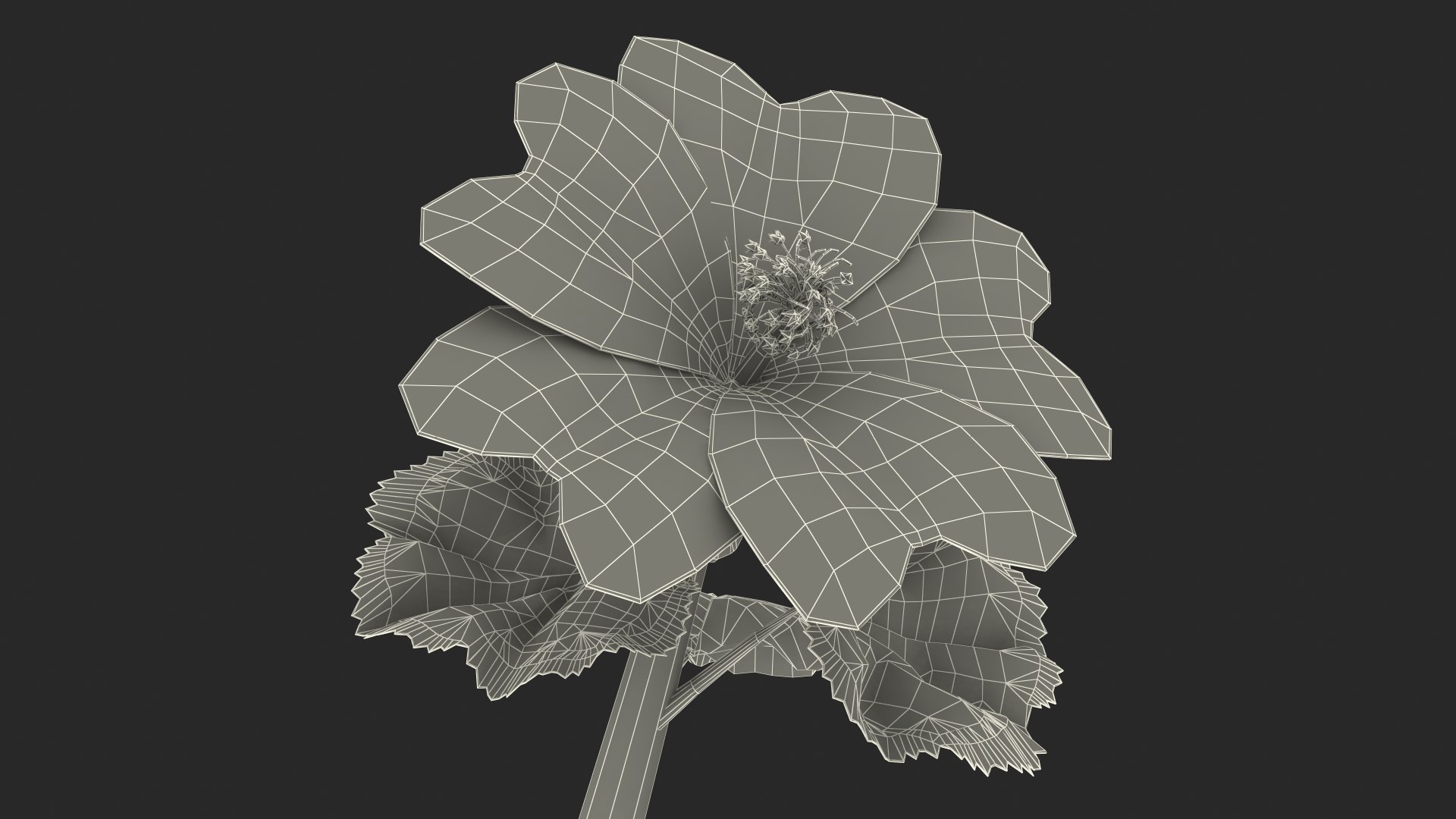 wild malva sylvestris set 3D model https://p.turbosquid.com/ts-thumb/8k/pgpR9b/j6J6Ttsl/wildmalvasylvestrisset3dmodel031/jpg/1599807306/1920x1080/fit_q87/4412cb47783169afd6312ad355ea3aa6833a784a/wildmalvasylvestrisset3dmodel031.jpg