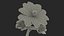 Set Malva Sylvestris Selvatica