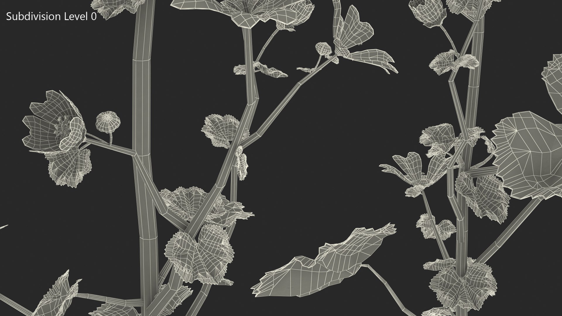 wild malva sylvestris set 3D model https://p.turbosquid.com/ts-thumb/8k/pgpR9b/ovPb7Jhv/wildmalvasylvestrisset3dmodel019/jpg/1599807166/1920x1080/fit_q87/fade4fb39a4b1490e56550f5dbc264c89100ee45/wildmalvasylvestrisset3dmodel019.jpg