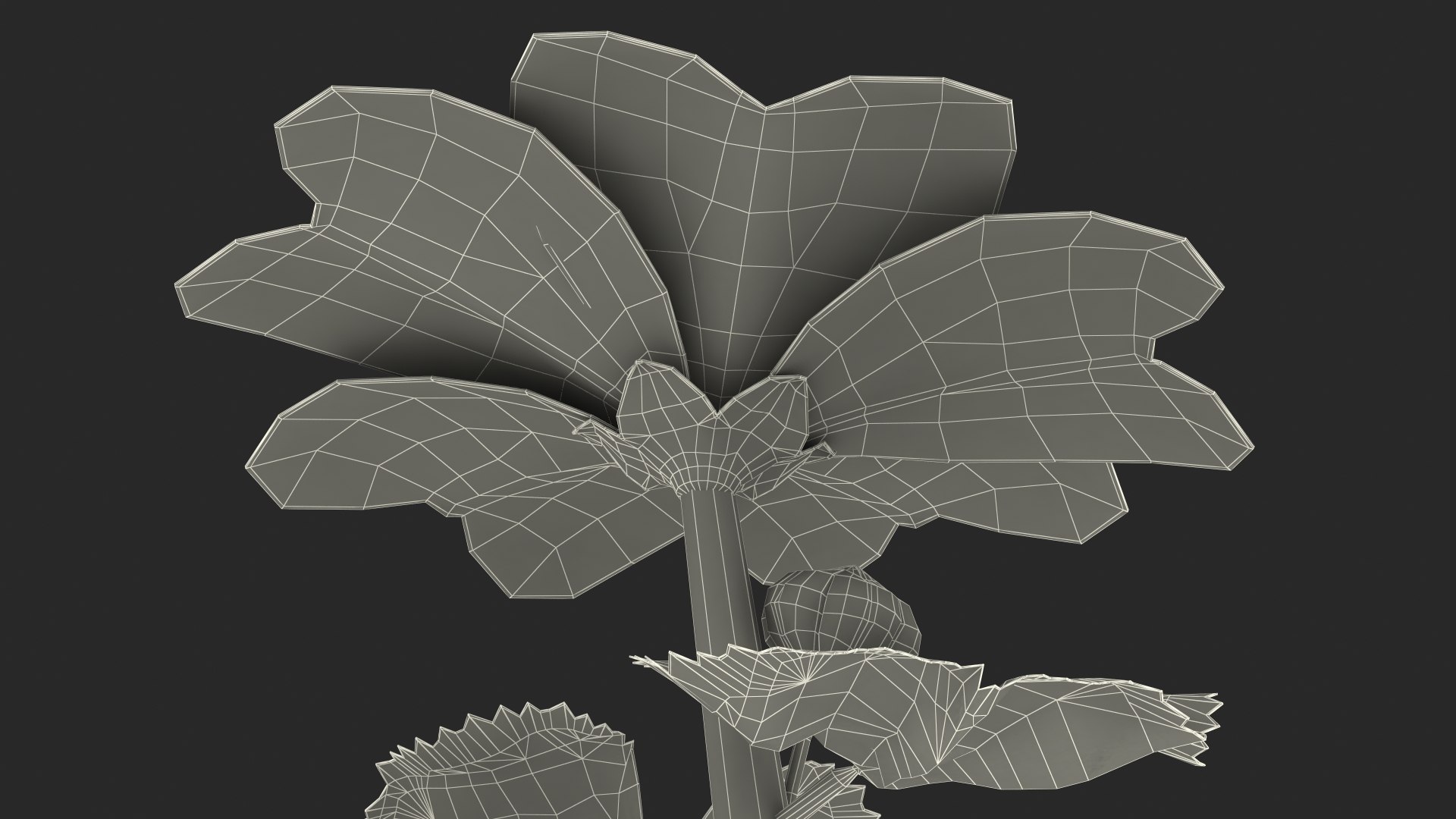 wild malva sylvestris set 3D model https://p.turbosquid.com/ts-thumb/8k/pgpR9b/qArZD7ph/wildmalvasylvestrisset3dmodel032/jpg/1599807316/1920x1080/fit_q87/d1dc0d8be27c9e0ea1e9af76160e18572713a379/wildmalvasylvestrisset3dmodel032.jpg