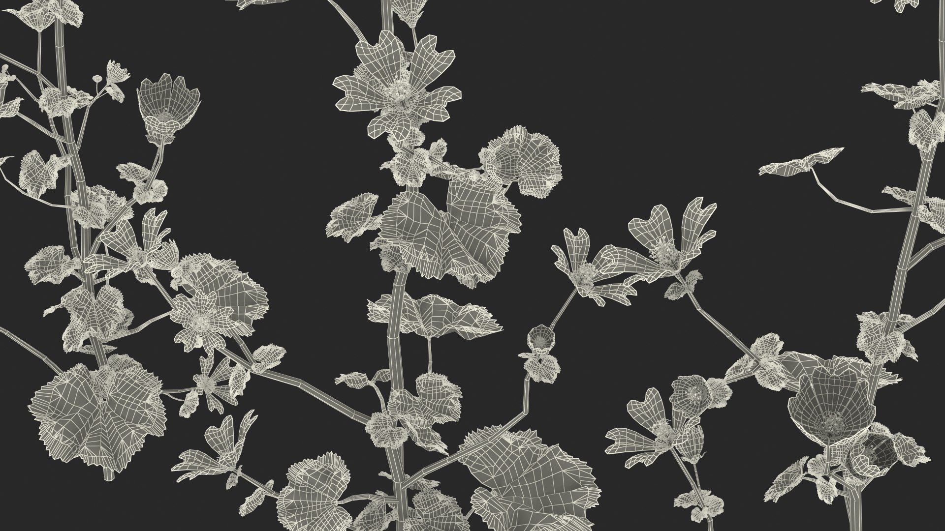 wild malva sylvestris set 3D model https://p.turbosquid.com/ts-thumb/8k/pgpR9b/tutuNSbe/wildmalvasylvestrisset3dmodel027/jpg/1599807256/1920x1080/fit_q87/f479c1b92b8aea0a246fb7e734a491b56cde4d9c/wildmalvasylvestrisset3dmodel027.jpg